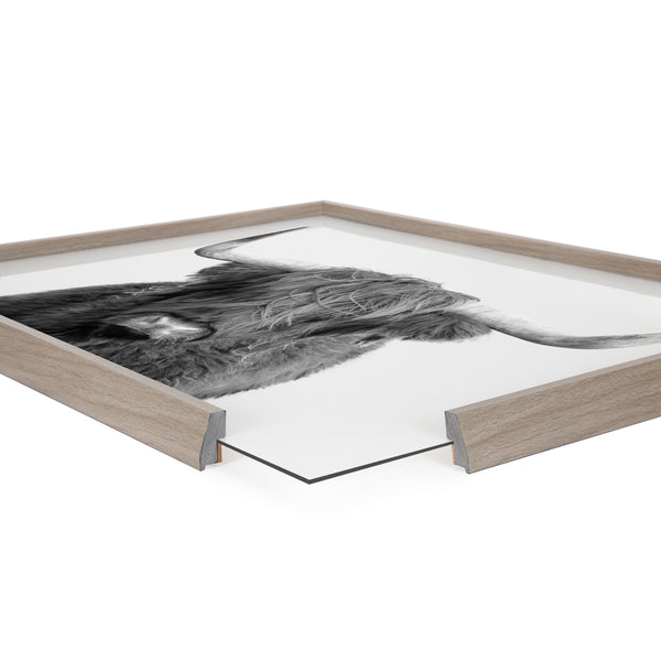 Kate & Laurel Blake Highland Cow Portrait Framed Printed Art By Amy Peterson Art Studio