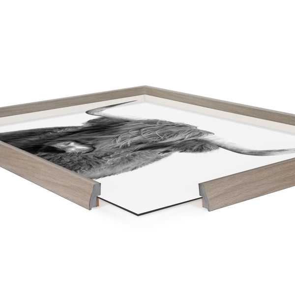 Kate & Laurel Blake Highland Cow Portrait Framed Printed Art By Amy Peterson Art Studio