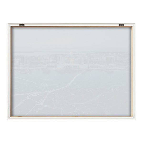 Kate & Laurel Blake Icy Veins Of Winter-Madison Wisconsin Framed Printed Glass By Pete Olsen