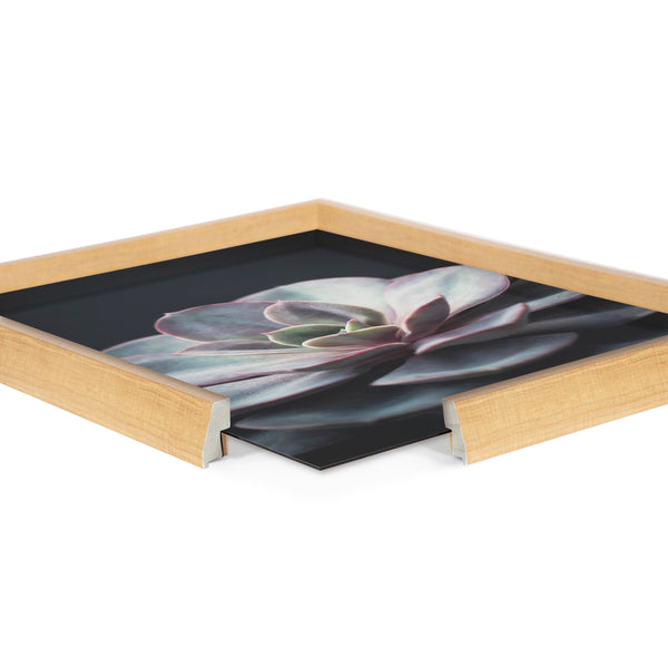 Kate & Laurel Blake Lavender Succulent Framed Printed Glass By Emiko And Mark Franzen Of F2Images