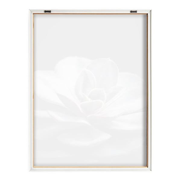 Kate & Laurel Blake Lavender Succulent Framed Printed Glass By Emiko And Mark Franzen Of F2Images