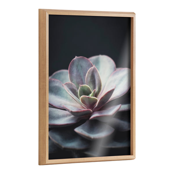 kate & laurel Blake Lavender Succulent Framed Printed Glass by Emiko and Mark Franzen of F2Images