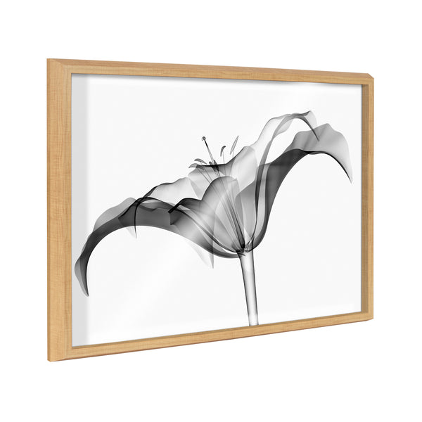 kate & laurel Blake Lily X Ray Floral BW Framed Printed Art by The Creative Bunch Studio