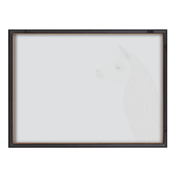 Kate & Laurel Blake Llama Larry Framed Printed Glass By Rocket Jack