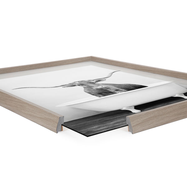 Kate & Laurel Blake Longhorn BW Bathroom Framed Printed Glass By Amy Peterson Art Studio