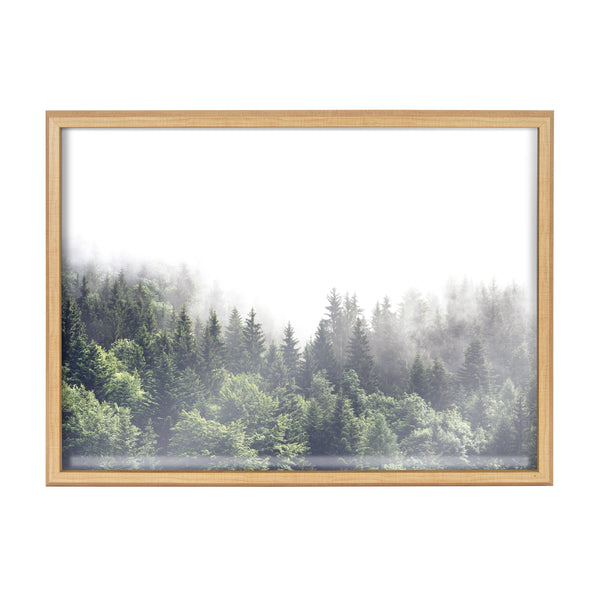 Kate & Laurel Blake Lush Green Forest On A Foggy Day Framed Printed Glass By The Creative Bunch Studio