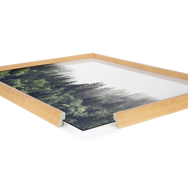 Kate & Laurel Blake Lush Green Forest On A Foggy Day Framed Printed Glass By The Creative Bunch Studio