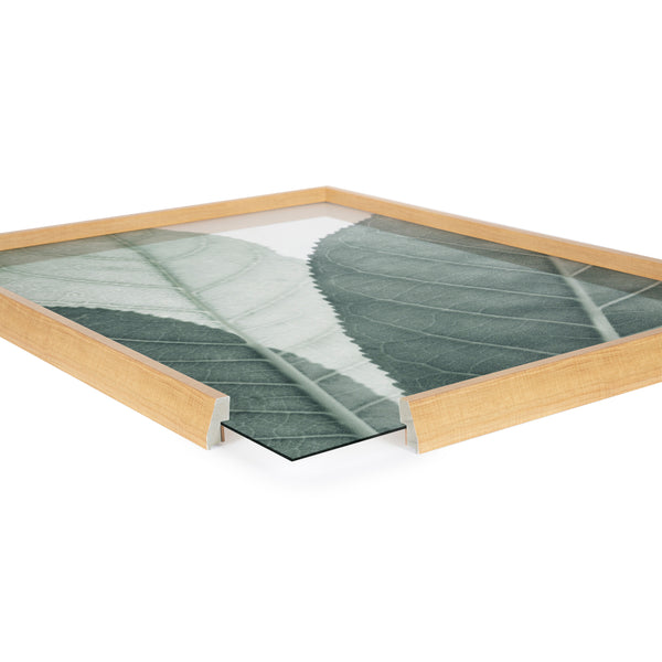 Kate & Laurel Blake Modern Green Leaf Botanical Framed Printed Glass By The Creative Bunch Studio