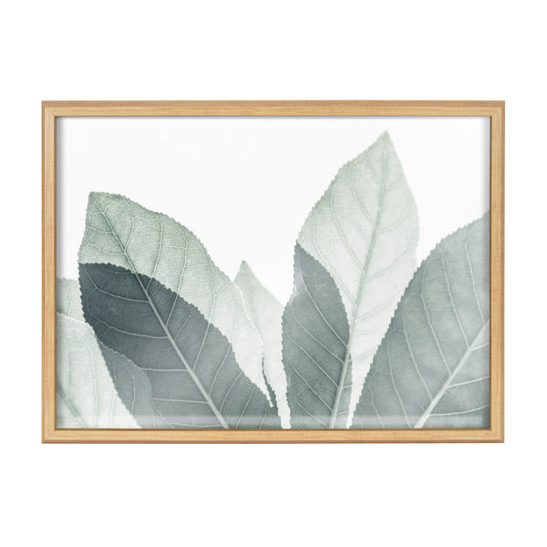 Kate & Laurel Blake Modern Green Leaf Botanical III Framed Printed Glass By The Creative Bunch Studio