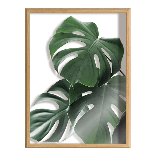 Kate & Laurel Blake Monstera Leaves Framed Printed Glass By Amy Peterson Art Studio