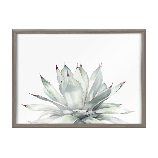 Kate & Laurel Blake Parrys Agave Framed Printed Glass By Emily Marie Watercolors