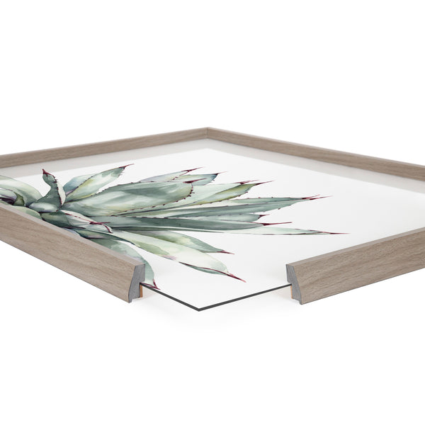 Kate & Laurel Blake Parrys Agave Framed Printed Glass By Emily Marie Watercolors
