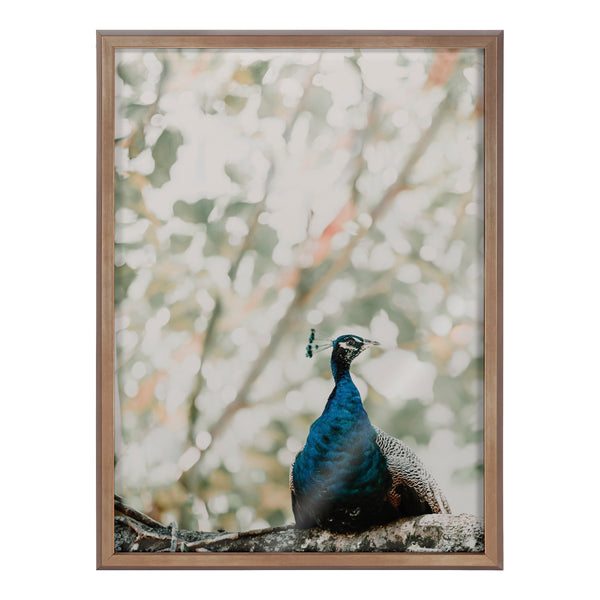 Kate & Laurel Blake Peacock Framed Printed Glass By Alicia Abla