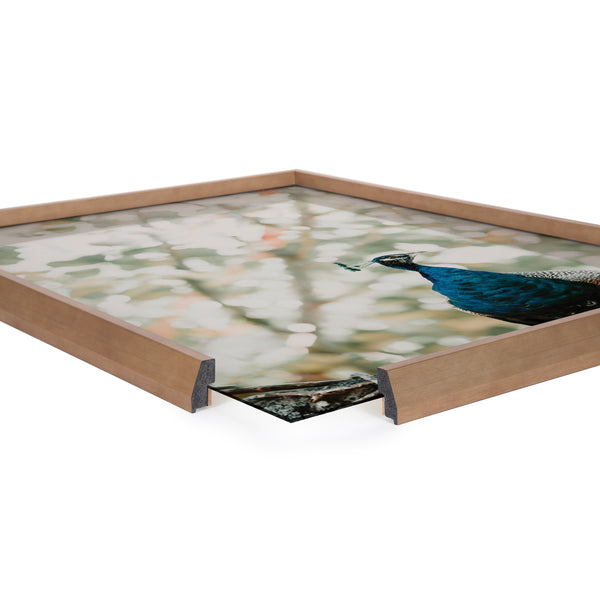 Kate & Laurel Blake Peacock Framed Printed Glass By Alicia Abla