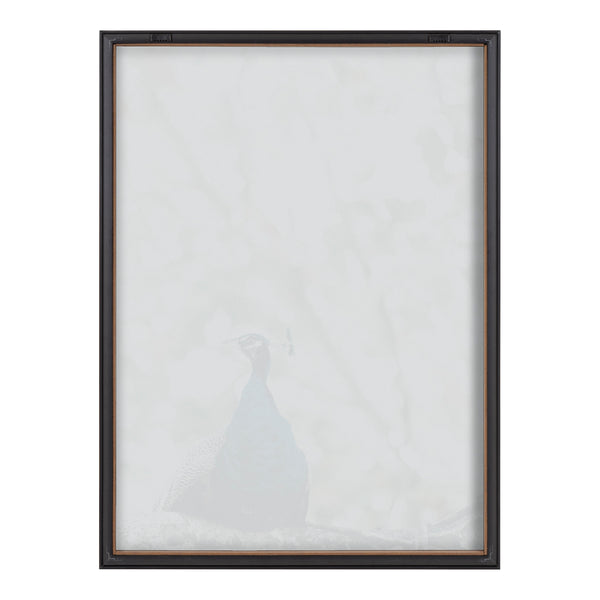Kate & Laurel Blake Peacock Framed Printed Glass By Alicia Abla
