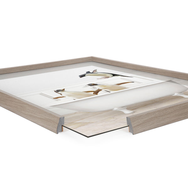 Kate & Laurel Blake Penguins Bathroom Framed Printed Glass By Amy Peterson Art Studio