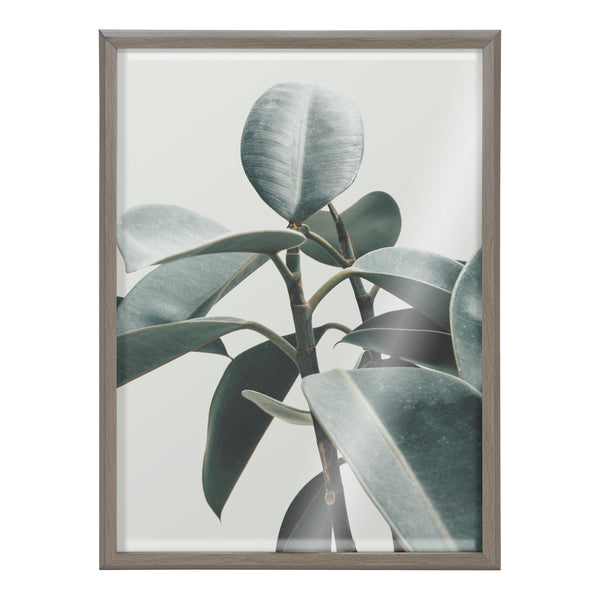 Kate & Laurel Blake Plant Mom Green Houseplant Framed Printed Glass By The Creative Bunch Studio