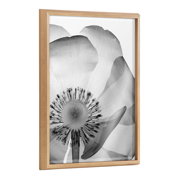 Kate & Laurel Blake Poppy X Ray Floral 2 BW Framed Printed Art By The Creative Bunch Studio