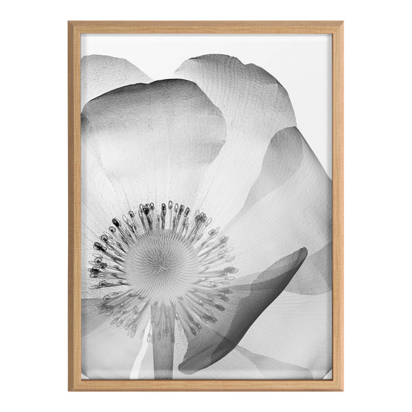 Kate & Laurel Blake Poppy X Ray Floral 2 BW Framed Printed Art By The Creative Bunch Studio