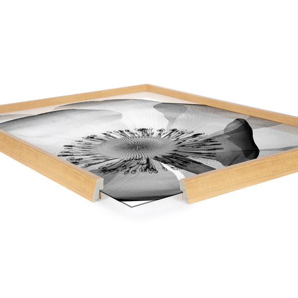 Kate & Laurel Blake Poppy X Ray Floral 2 BW Framed Printed Art By The Creative Bunch Studio