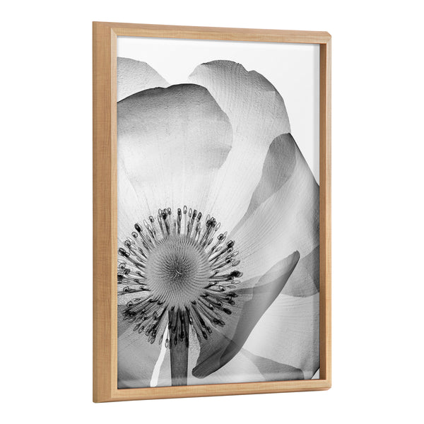 kate & laurel Blake Poppy X Ray Floral 2 BW Framed Printed Art by The Creative Bunch Studio