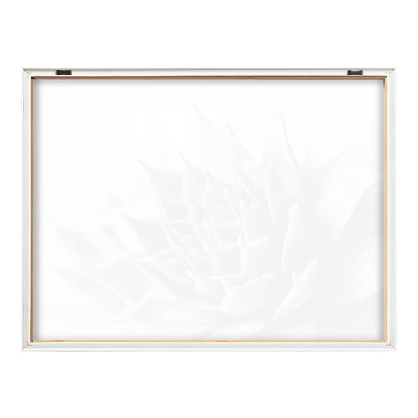 Kate & Laurel Blake Radical Succulent Framed Printed Glass By Emiko And Mark Franzen Of F2Images