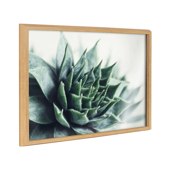kate & laurel Blake Radical Succulent Framed Printed Glass by Emiko and Mark Franzen of F2Images