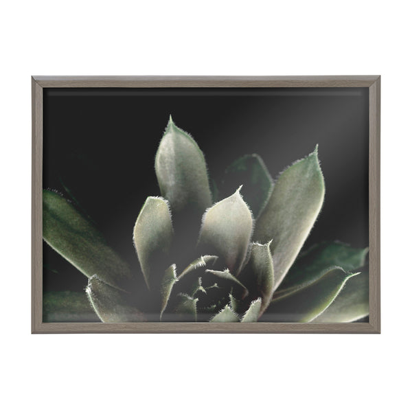 Kate & Laurel Blake Salutation Framed Printed Art By Emiko And Mark Franzen Of F2Images