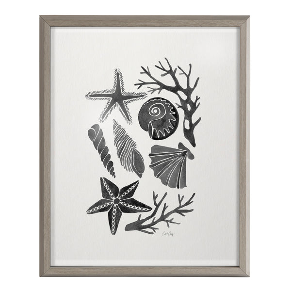 Kate & Laurel Blake Seashells Black Framed Printed Glass By Cat Coquillette