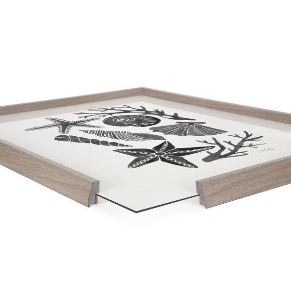 Kate & Laurel Blake Seashells Black Framed Printed Glass By Cat Coquillette