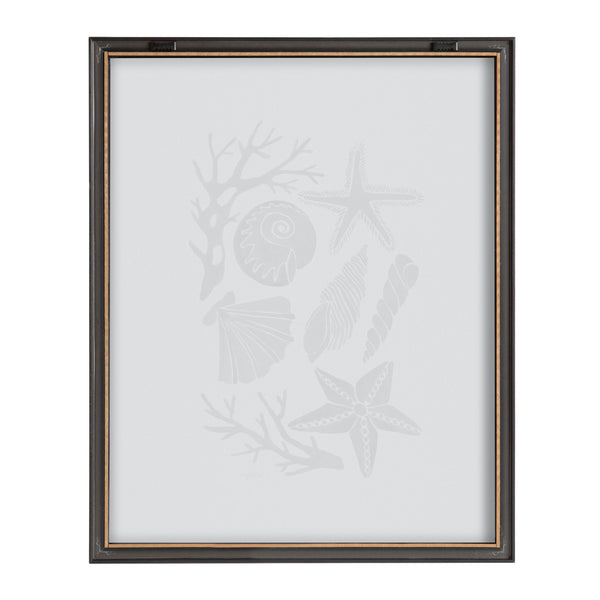 Kate & Laurel Blake Seashells Black Framed Printed Glass By Cat Coquillette