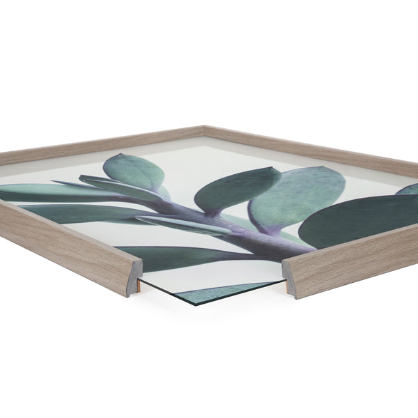 Kate & Laurel Blake Senecio 1 Framed Printed Glass By Emiko And Mark Franzen Of F2Images