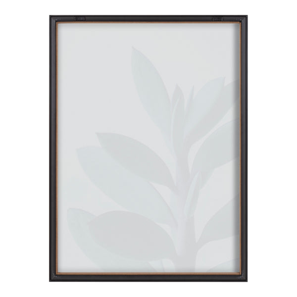 Kate & Laurel Blake Senecio 1 Framed Printed Glass By Emiko And Mark Franzen Of F2Images