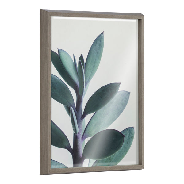 kate & laurel Blake Senecio 1 Framed Printed Glass by Emiko and Mark Franzen of F2Images