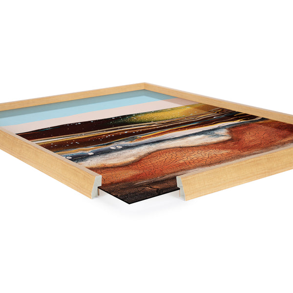 Kate & Laurel Blake Sonoran Desert Framed Printed Art By Xizhou Xie
