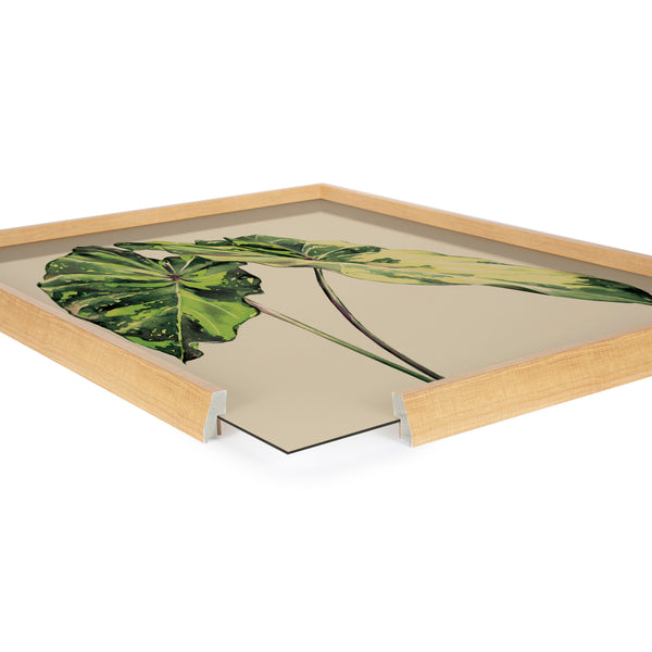 Kate & Laurel Blake Spotted Leaves Neutral Framed Printed Glass By Emily Marie Watercolors