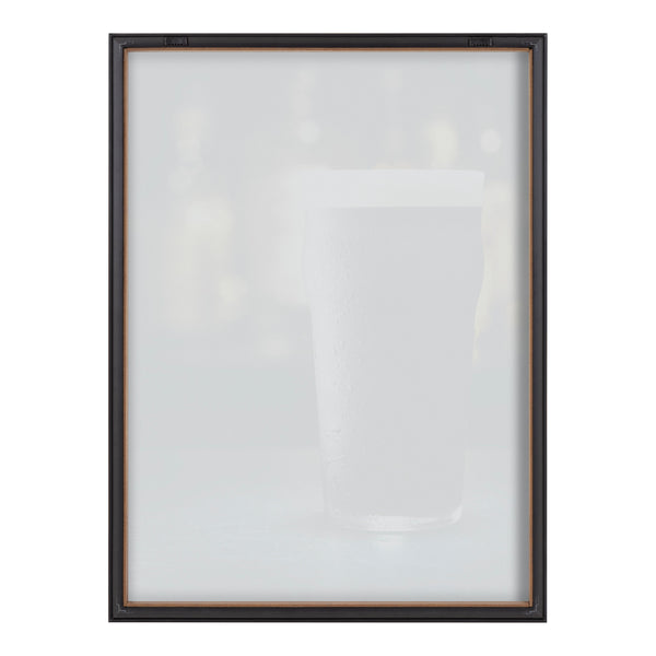 Kate & Laurel Blake Stout Framed Printed Glass By Emiko And Mark Franzen Of F2Images