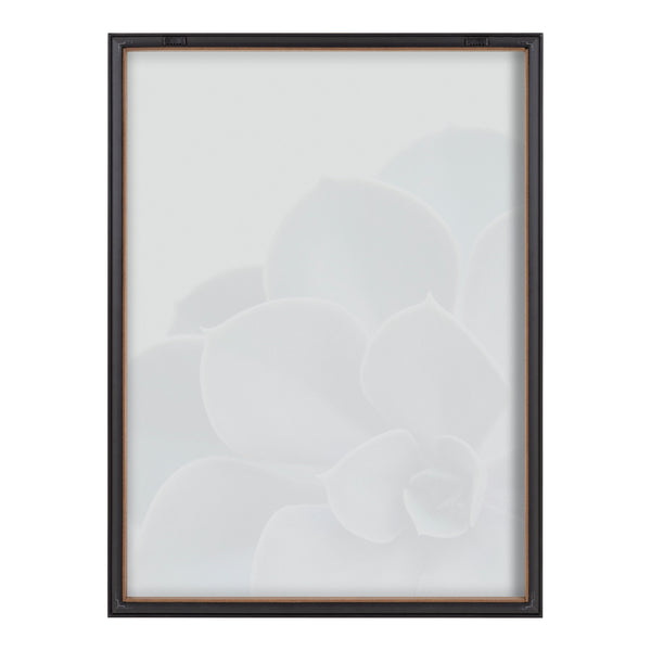 Kate & Laurel Blake Succulent 5 Framed Printed Glass By Emiko And Mark Franzen Of F2Images
