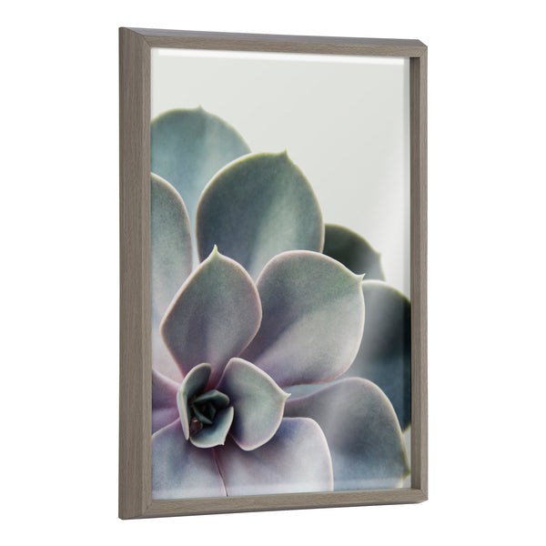 kate & laurel Blake Succulent 5 Framed Printed Glass by Emiko and Mark Franzen of F2Images