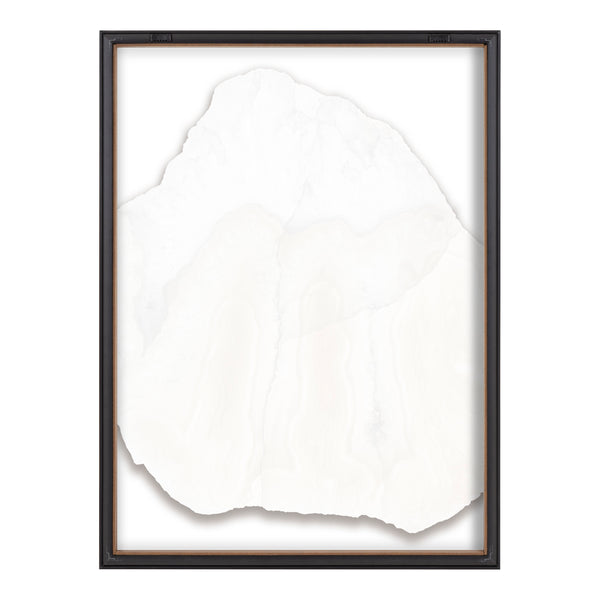 Kate & Laurel Blake Three Wonders Framed Printed Glass By Emiko And Mark Franzen Of F2Images