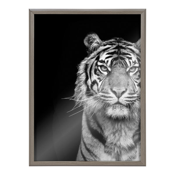 Kate & Laurel Blake Tiger Minimalist Animal Framed Printed Glass By The Creative Bunch Studio