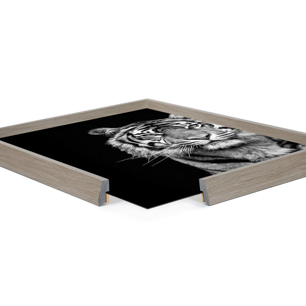 Kate & Laurel Blake Tiger Minimalist Animal Framed Printed Glass By The Creative Bunch Studio