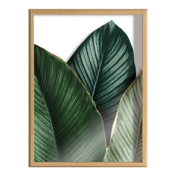 Kate & Laurel Blake Tropical Palm Leaves Framed Printed Glass By Amy Peterson Art Studio