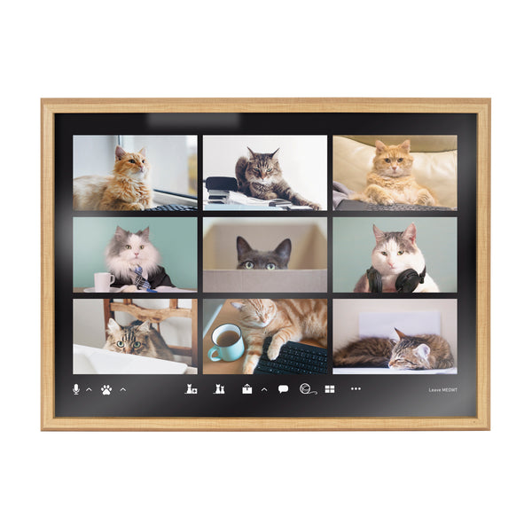 Kate & Laurel Blake Video Chat Cats Framed Printed Glass By The Creative Bunch Studio