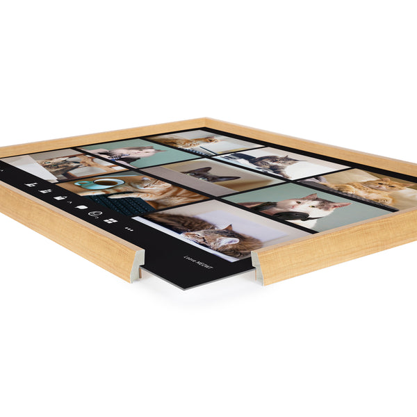 Kate & Laurel Blake Video Chat Cats Framed Printed Glass By The Creative Bunch Studio