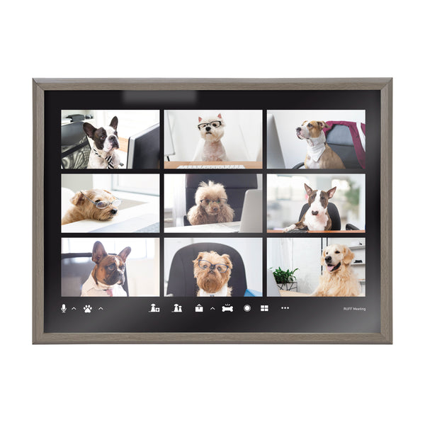 Kate & Laurel Blake Video Chat Dogs Framed Printed Glass By The Creative Bunch Studio