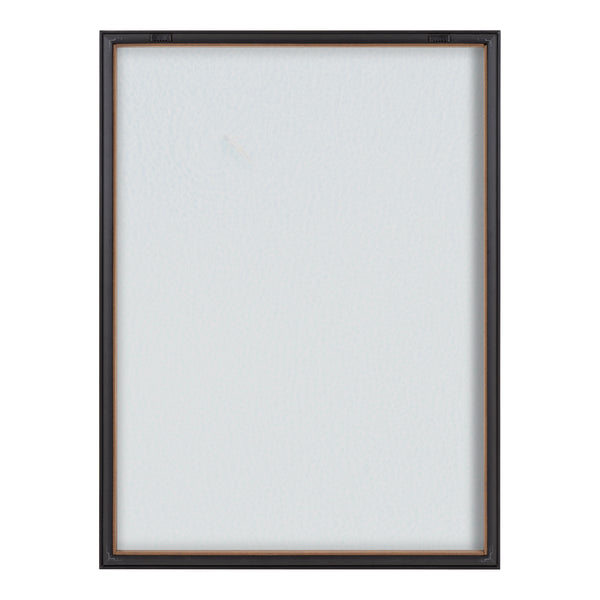 Kate & Laurel Blake Woman Floating Framed Printed Glass By Amy Peterson Art Studio