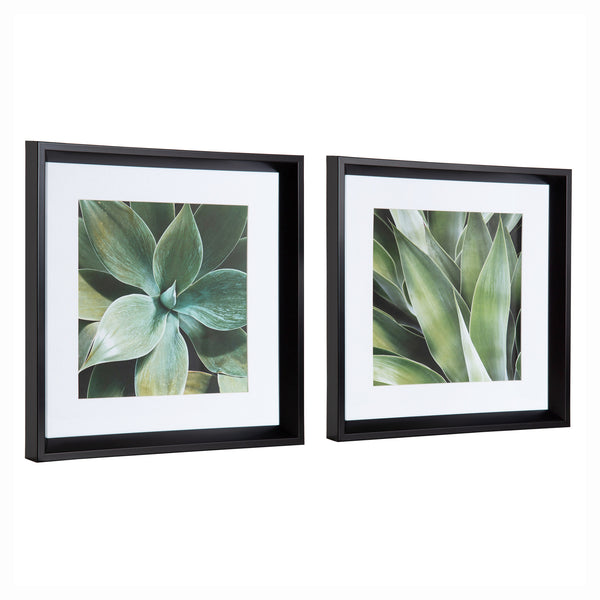 Kate & Laurel Calter Succulent Leaves Framed Print Art Set By Amy Peterson