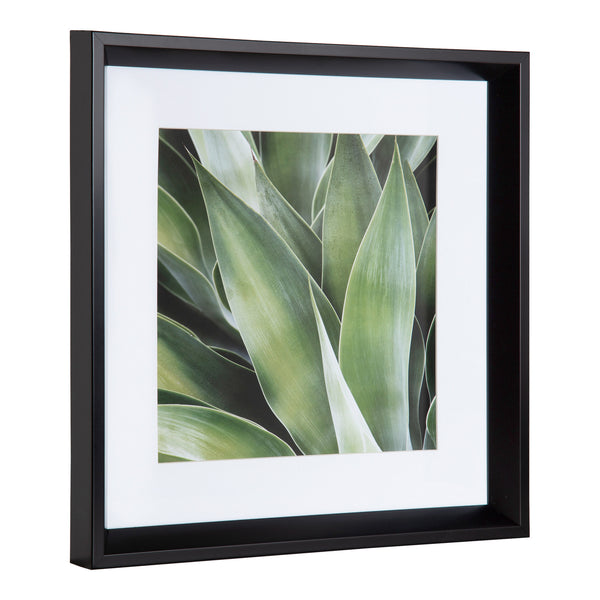 Kate & Laurel Calter Succulent Leaves Framed Print Art Set By Amy Peterson