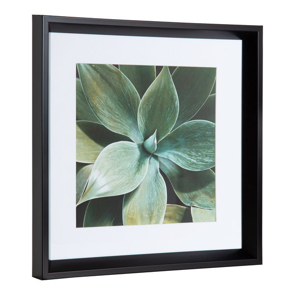 Kate & Laurel Calter Succulent Leaves Framed Print Art Set By Amy Peterson